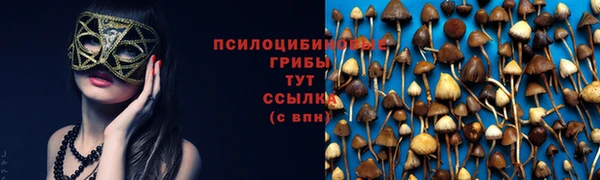 меф Сатка