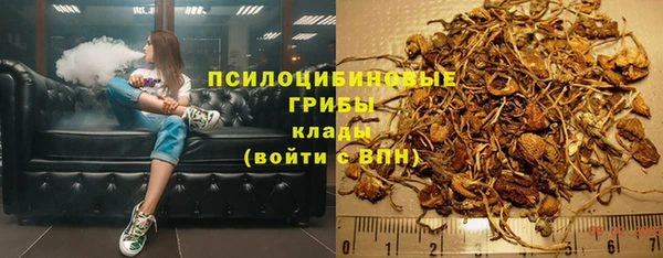 Альфа ПВП Белокуриха