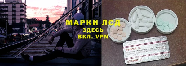 Альфа ПВП Белокуриха