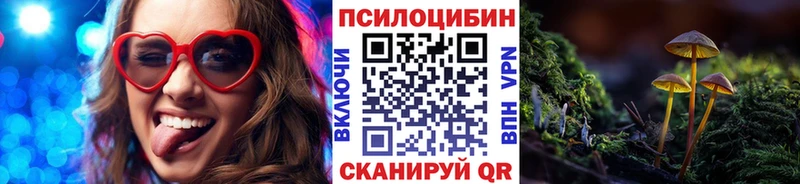 гидра как зайти  Невьянск  Псилоцибиновые грибы Psilocybe 